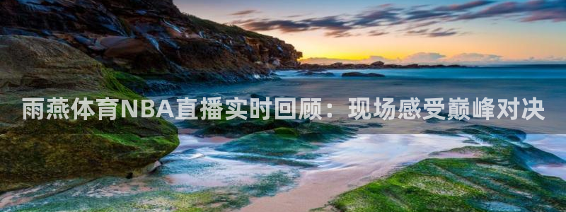 飞速直播nba免费直播在线观看高清：雨燕体育NBA直播实时回顾：现场感受巅峰对决