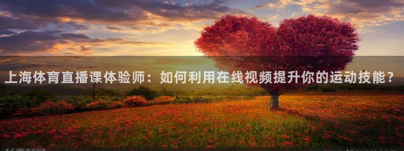 飞速直播足球直播nba直播吧：上海体育直播课体验师：如何利用在线视频提升你的运动技能？