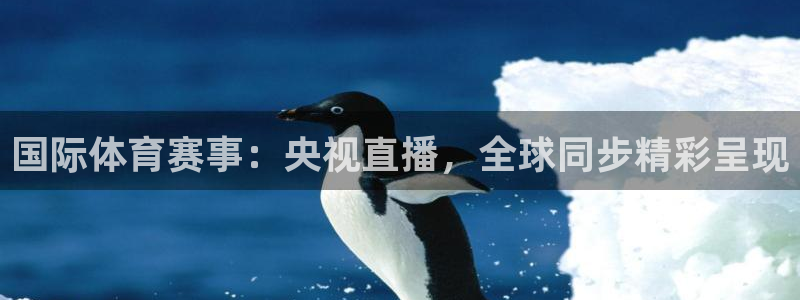 极速飞速体育直播吧体育直播：国际体育赛事：央视直播，全球同步精彩呈现