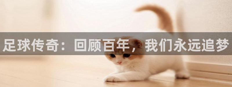 飞速直播nba体育直播：足球传奇：回顾百年，我们永远追梦