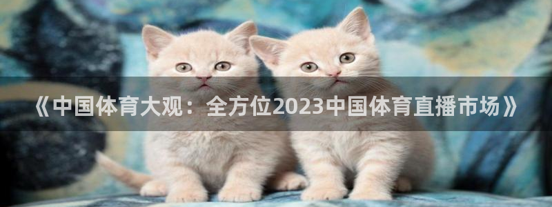 飞速体育nba：《中国体育大观：全方位2023中国体育直播市场》