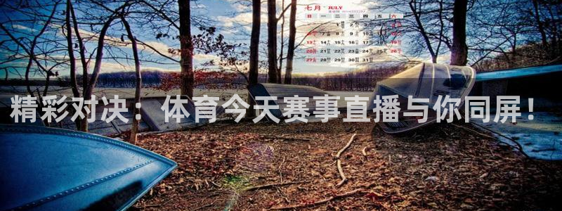 飞速极速体育直播：精彩对决：体育今天赛事直播与你同屏！